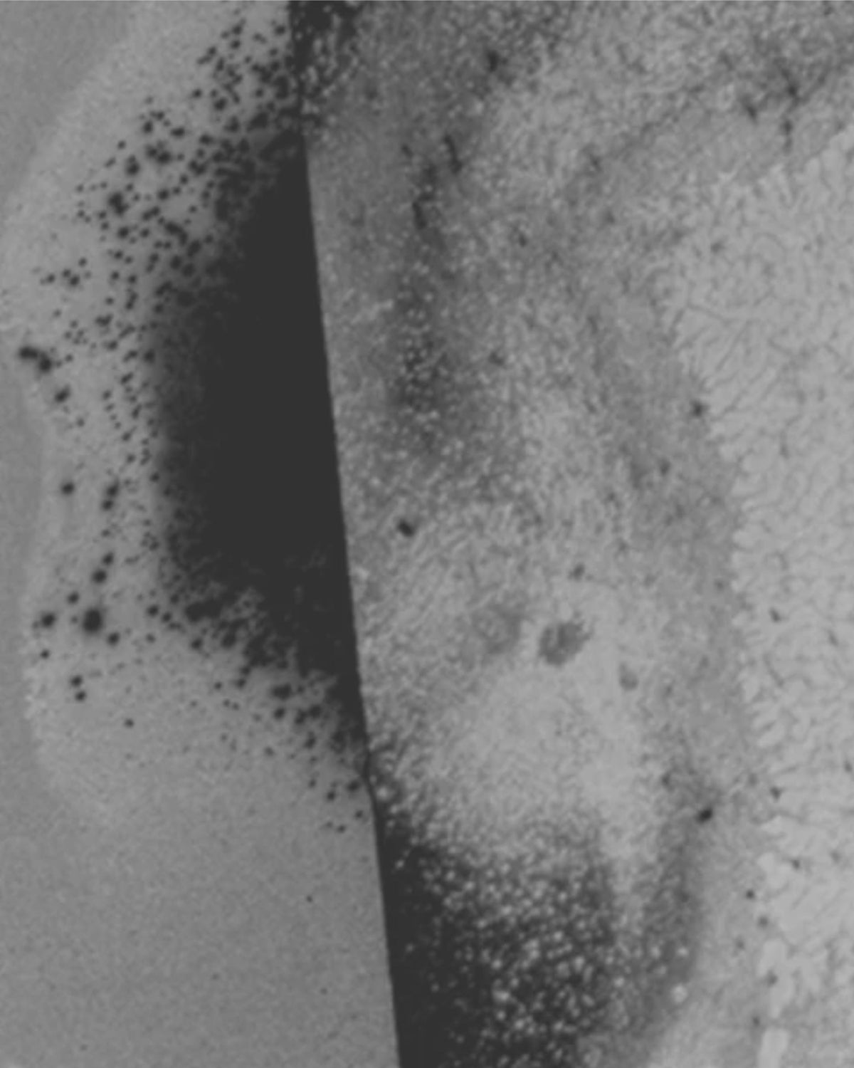 Black and white abstract artwork from the ARPA Ferragus 06 fragrance campaign