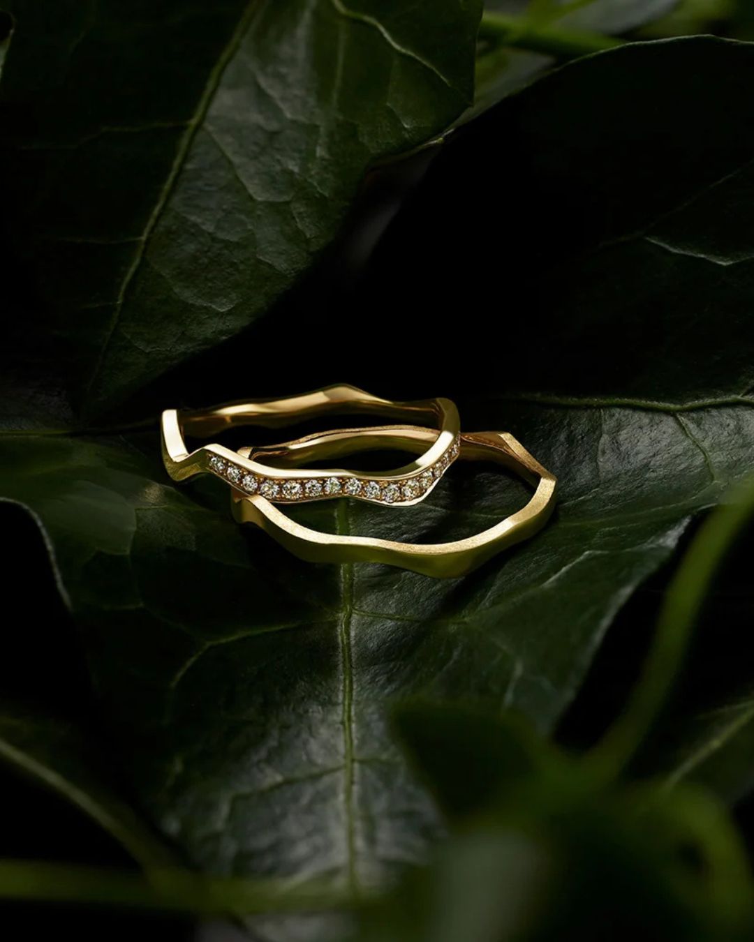 Milamore Kintsugi Pavé Vine Ring styled with sculptural gold bands on dark green leaves.